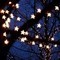 Square_8-1_1275905424