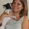 The Doggie House 