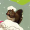 Square_squirrelicon_1202255153