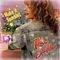 Square_robin_sparkles_1271015409