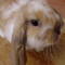 Square_avatar