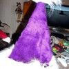 Dragoness