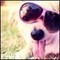 Square_avatar